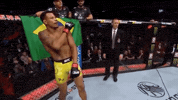 ufc 231 sport GIF by UFC