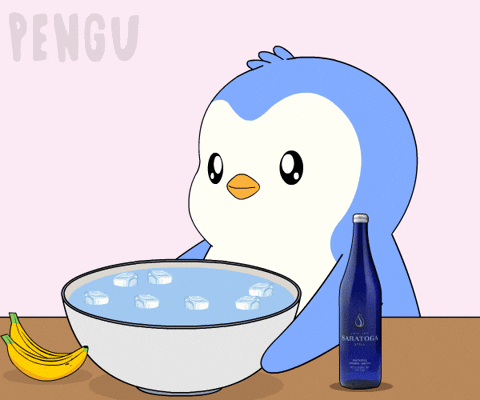 Good Morning Water GIF by Pudgy Penguins