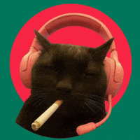 Funny Cat GIF