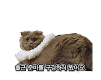 G-Dragon Gd Sticker