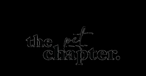 thechapter_ giphyupload cats dogs pet GIF