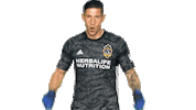 Los Angeles Galaxy Sticker by LA Galaxy