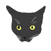 Cat Shock Sticker