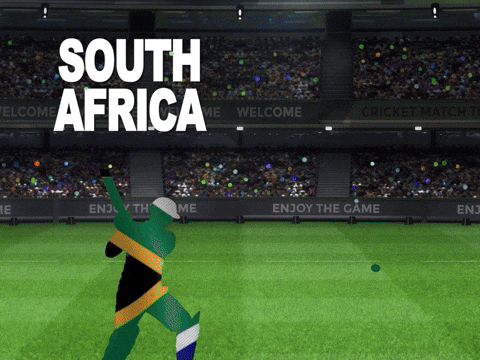 South Africa India GIF by RightNow