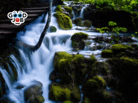 Vermittlung-Agenturen 1000-5000-Eur GIF by FranchiseONE.de