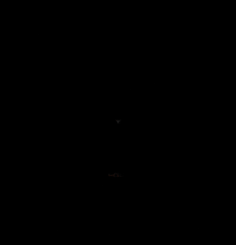 Barbed Wire Orange GIF by Grenzgaenger