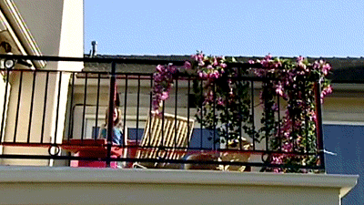 tiffany pollard GIF by RealityTVGIFs