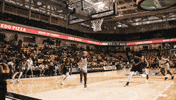 Basketball Hype GIF by Towson University