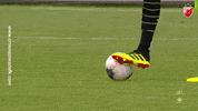 Football Ball GIF by FK Crvena zvezda