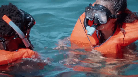 Bbc Iplayer Reality Tv GIF by BBC Three