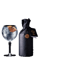 apgin craft gin slovenia slovenija Sticker