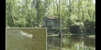 Education Vocabulary GIF by DIIMSA Stock