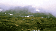 mountain fog GIF by The NGB