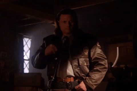 season 2 hawk GIF by Twin Peaks on Showtime