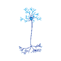 asociacioneducar casa brain ae cerebro Sticker