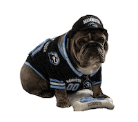 Utah Mammoth Sticker