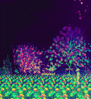 Animation Flower GIF