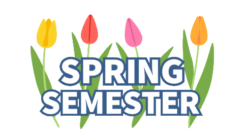 Saint Louis Education Sticker by St. Louis Community College