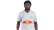 Football Crying Sticker by FC Red Bull Salzburg