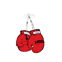 Boxing Holywings Sticker by HW Group