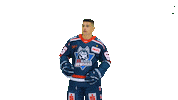 Eishockey Sticker by EC Kassel Huskies
