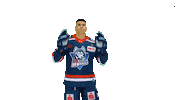 Eishockey Sticker by EC Kassel Huskies