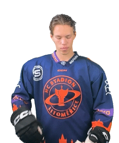 Sport Hokej Sticker by HCSTADION