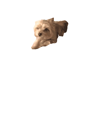 Dog Crawl Sticker by Justin