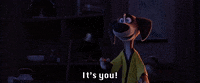 Paws Of Fury GIF by Paws of Fury: The Legend of Hank
