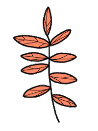 Fall Autumn Sticker by chiara