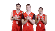 Liga Endesa Basketball Sticker by ACB