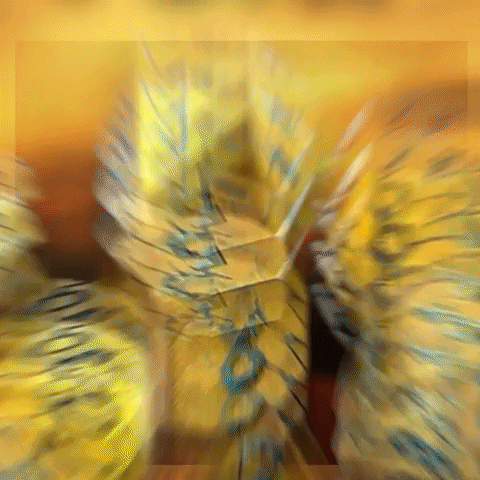 thetabletopgameshop_ giphygifmaker dnd dungeons and dragons dragons GIF