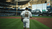 Major League Baseball Sport GIF by MLB