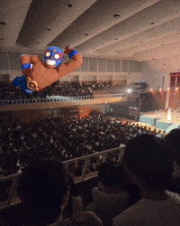 El Primo GIF