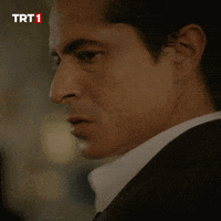 Tik Kavga GIF by TRT