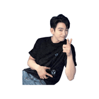 Parkjinyoung Sticker