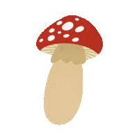 softxk flowers bear spring frog Sticker