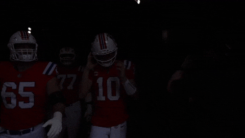 Football Nfl GIF by New England Patriots