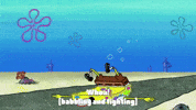 season 10 episode 3 GIF by SpongeBob SquarePants