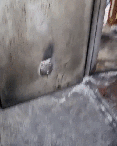 Insight_video giphyupload GIF