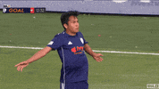 Soccer Celebration GIF by USL