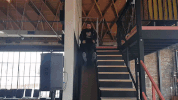 slidesarehappiness GIF by Leroy Patterson