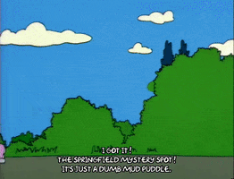 Season 2 GIF by The Simpsons