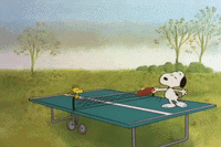 charlie brown thanksgiving GIF by Peanuts