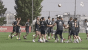 La Liga Sport GIF by Real Madrid