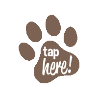 Dog Tap Here Sticker by Schecker