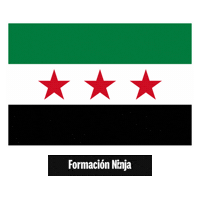 Syria Flag Sticker by Formación Ninja