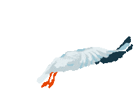 Beach Flying Sticker by Küstenwerber