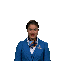 flying well done Sticker by KLM