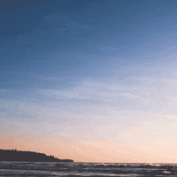 Vitoria GIF by Jotta A